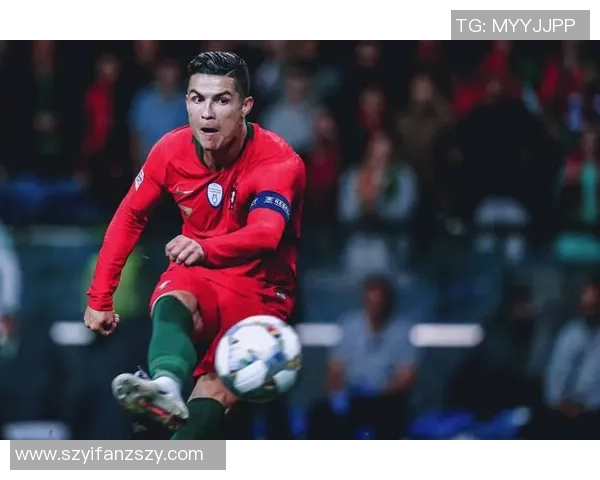 足球明星资料卡全面解析：从成就到个人生活的深度剖析