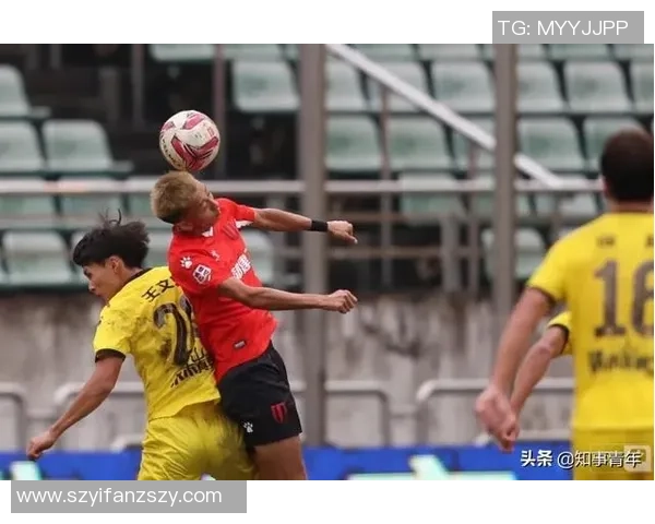 排球评论：杭州排球队的包夹得失