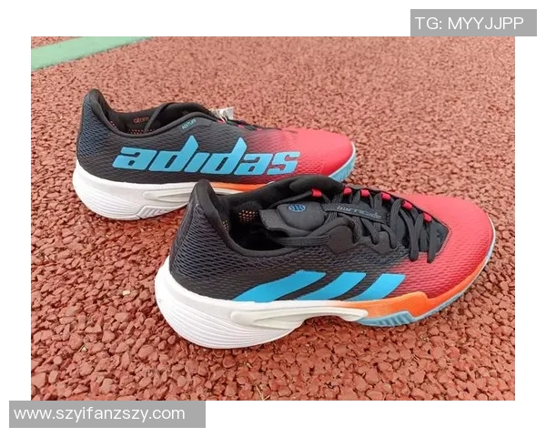 网球装备选购：球鞋推荐